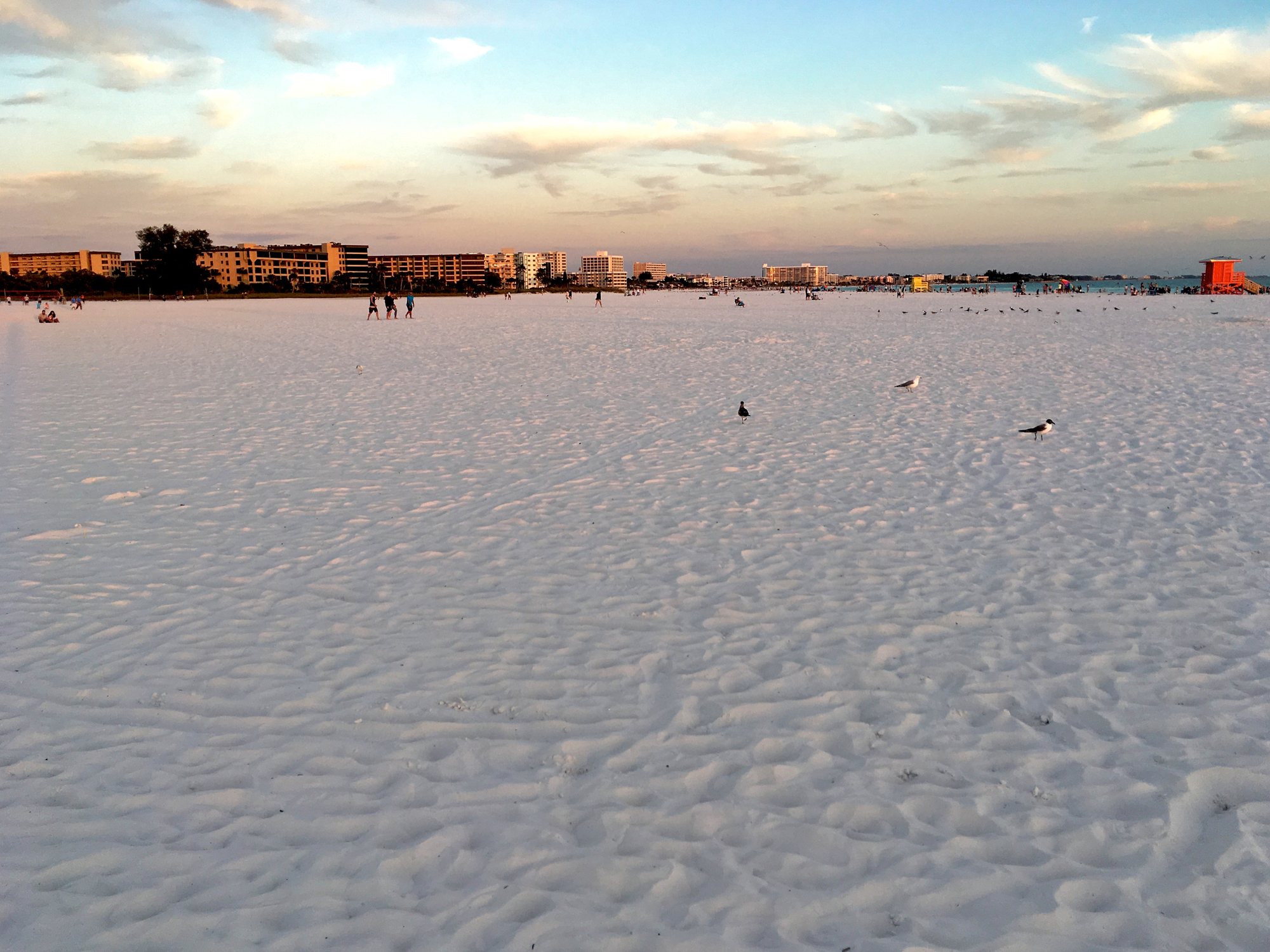 Siesta Key Beach