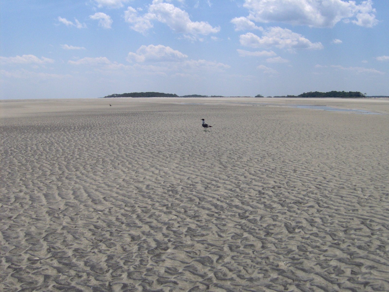 South Point Beach at the south end of Tybee Island